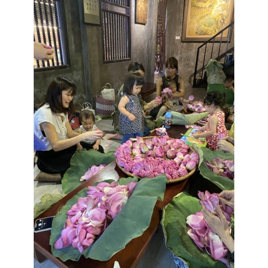 LOTUS TEA MAKING EXPERIENCE AT THE TEA HOUSE